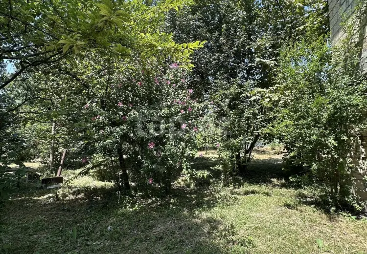 0 m² Obyekt / Ofis , İsmayıllı