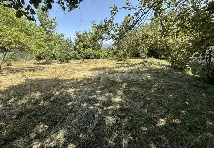 0 m² Obyekt / Ofis , İsmayıllı