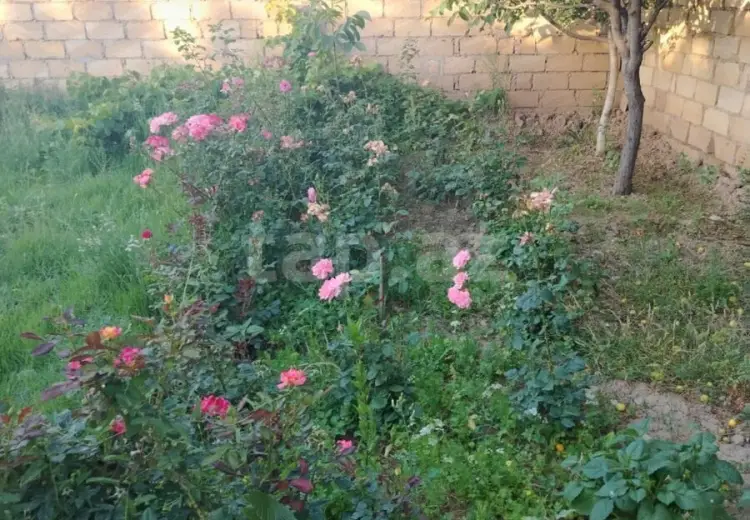 3 otaqlı mənzil , Sumqayıt