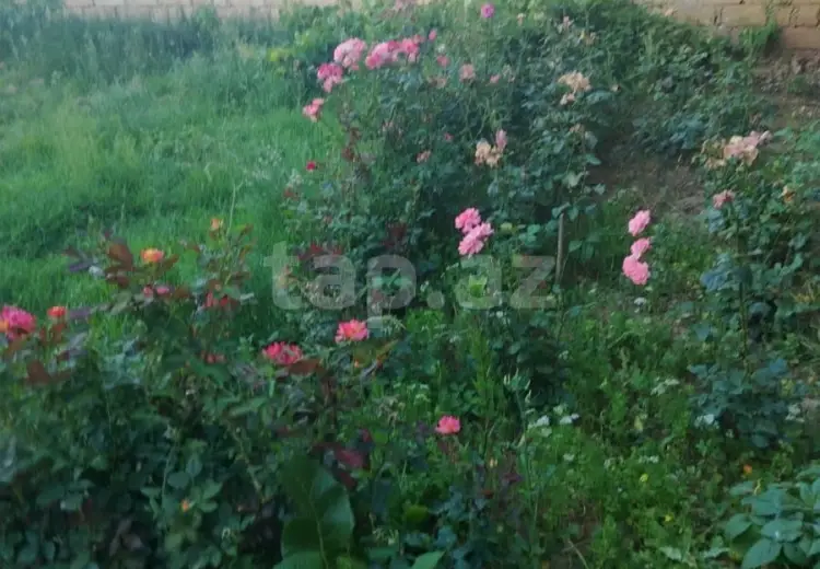 3 otaqlı mənzil , Sumqayıt