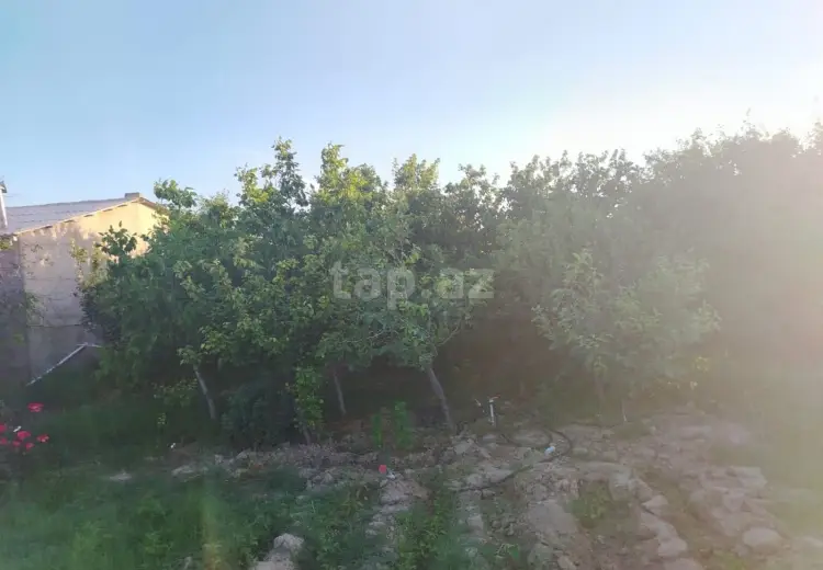 3 otaqlı mənzil , Sumqayıt
