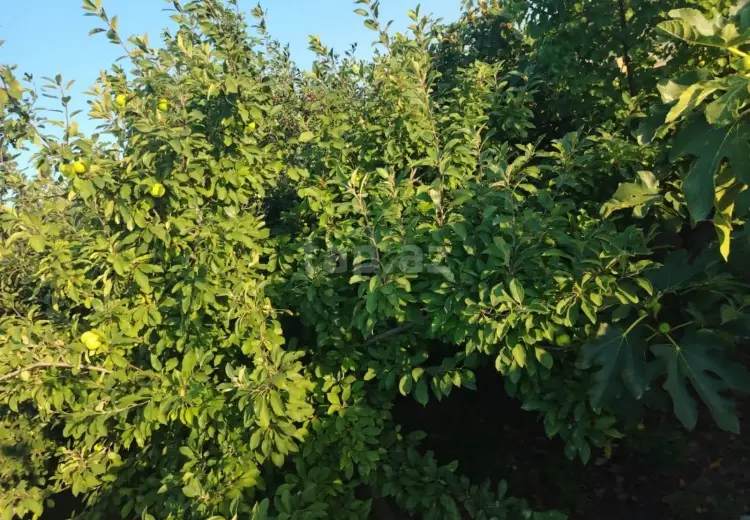 3 otaqlı mənzil , Sumqayıt