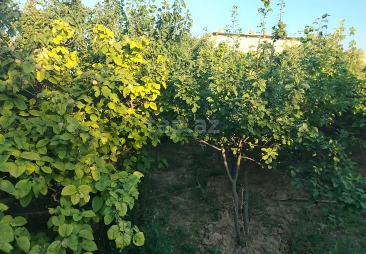 3 otaqlı mənzil , Sumqayıt