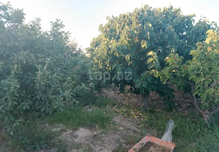 3 otaqlı mənzil , Sumqayıt