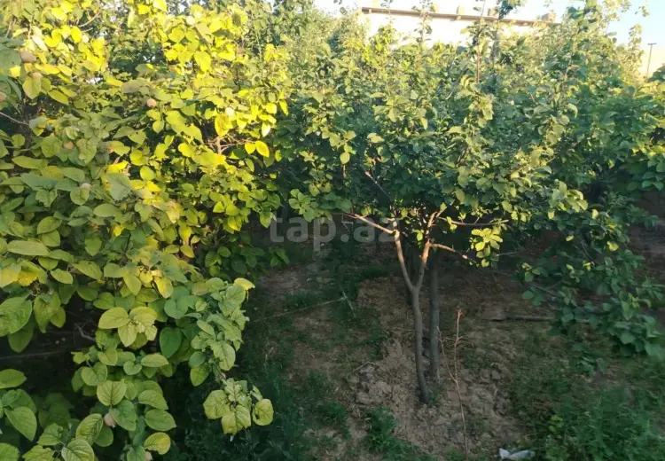 3 otaqlı mənzil , Sumqayıt
