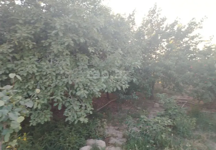 3 otaqlı mənzil , Sumqayıt