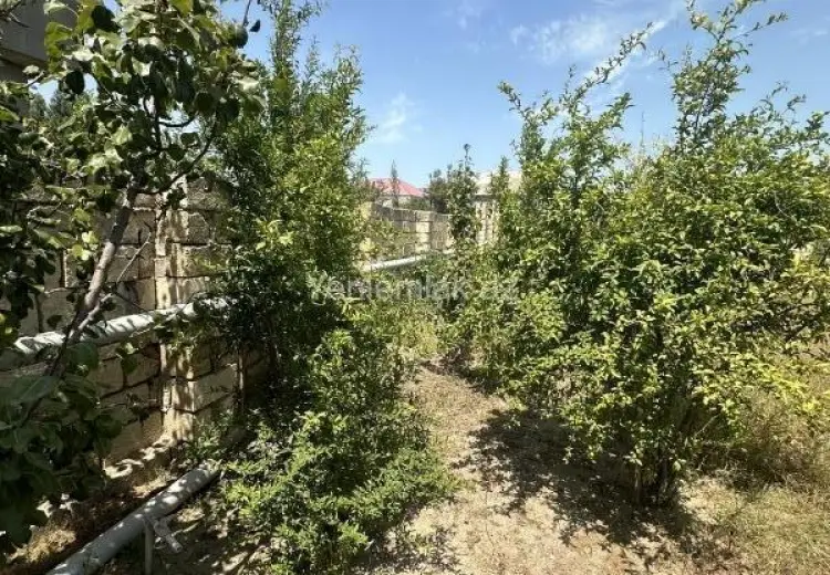 3 sot Torpaq Satılır, Qurd dərəsi, Sumqayıt
