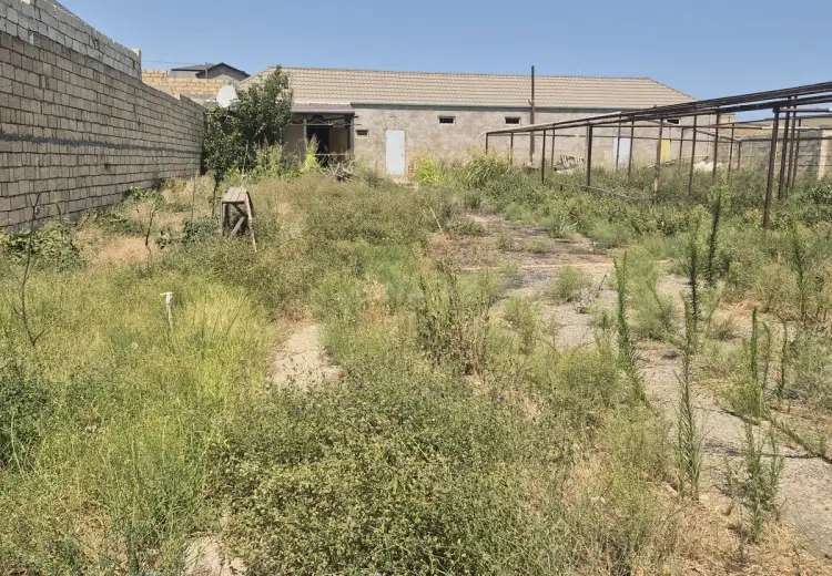10 sot Torpaq Satılır, Novxanı, Abşeron