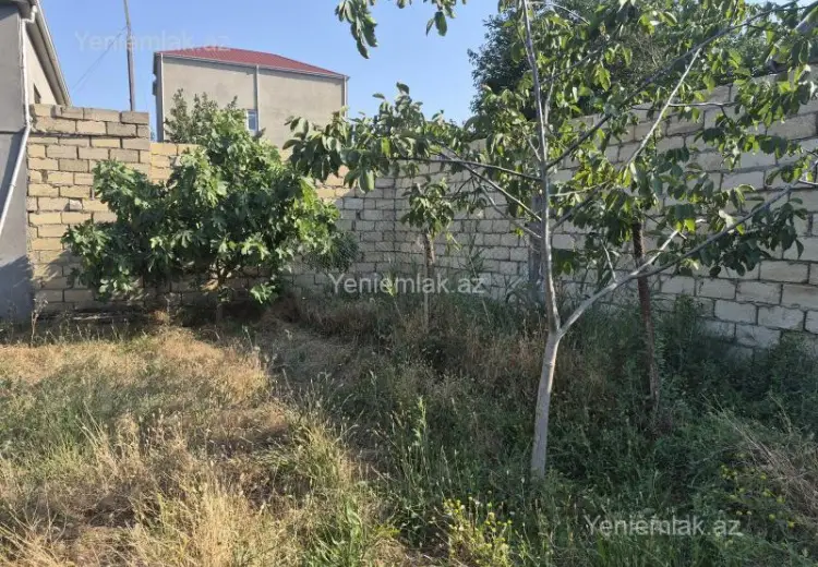 4 sot Torpaq Satılır, Saray, Abşeron