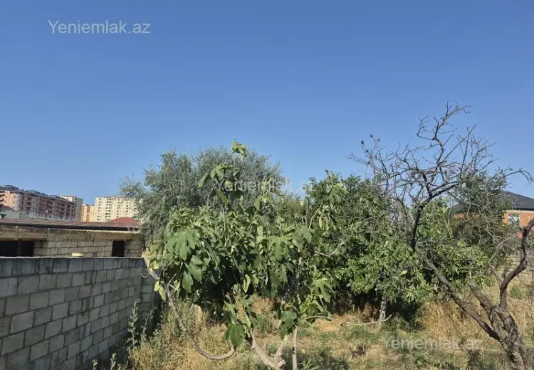 4 sot Torpaq Satılır, Saray, Abşeron