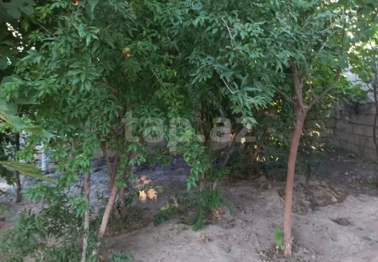 1 otaqlı mənzil , Sumqayıt