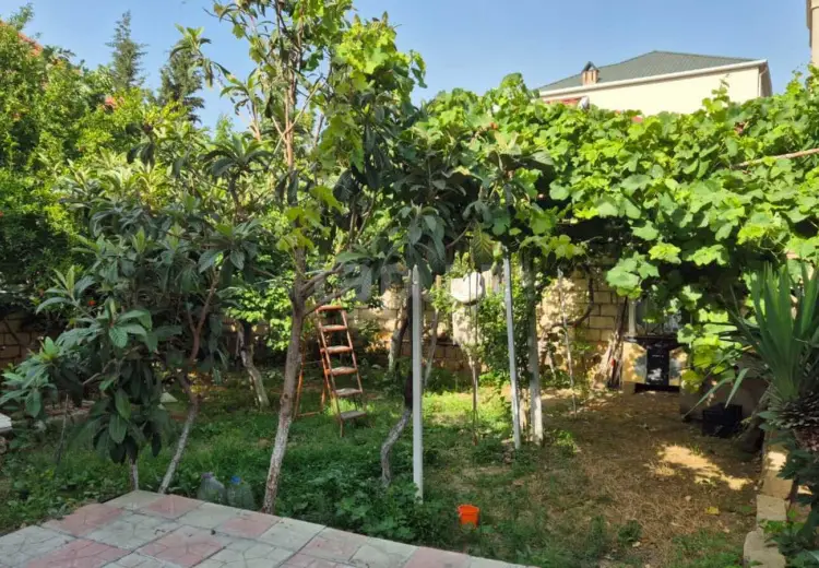 2 otaqlı mənzil , Sumqayıt