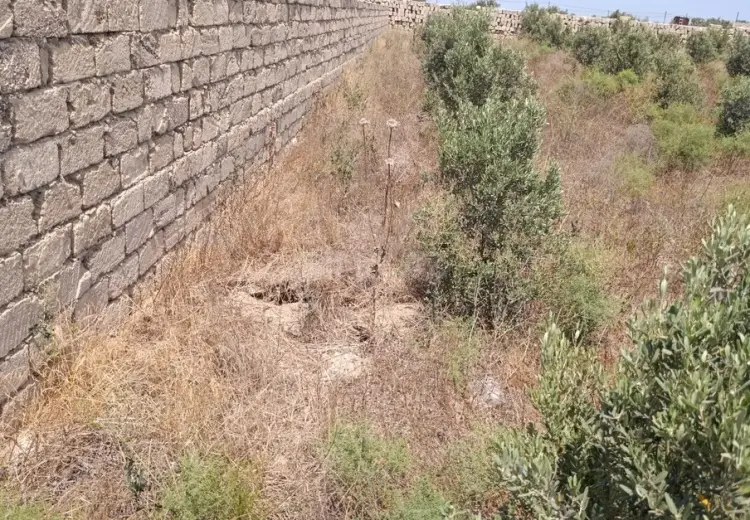 12 sot Torpaq Satılır, Türkan, Xəzər, Bakı