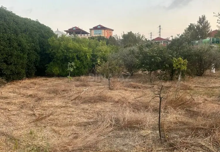 2.5 sot Torpaq Satılır, Novxanı, Abşeron