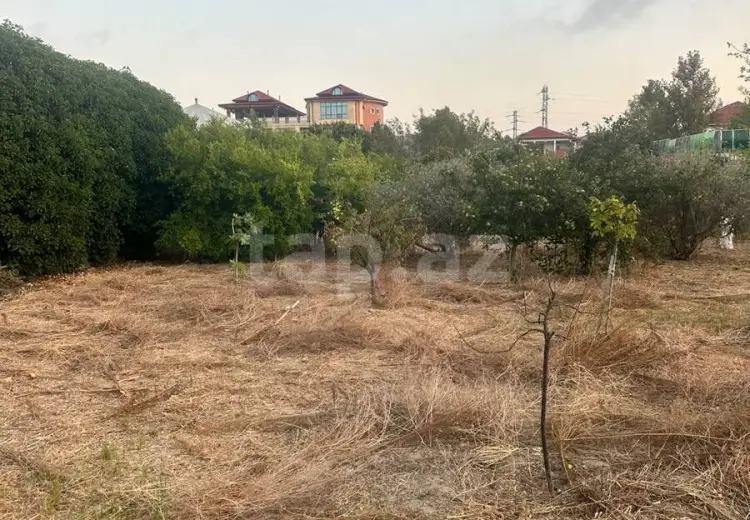 0 m² Obyekt / Ofis , Novxanı, Abşeron