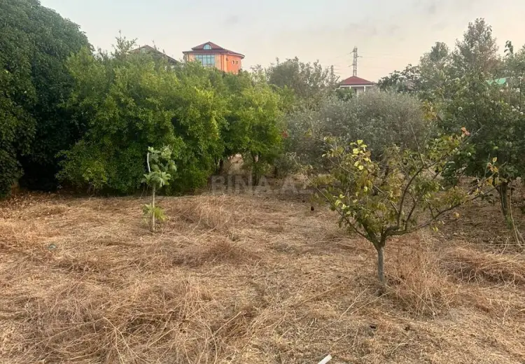 3 sot Torpaq Satılır, Novxanı, Abşeron