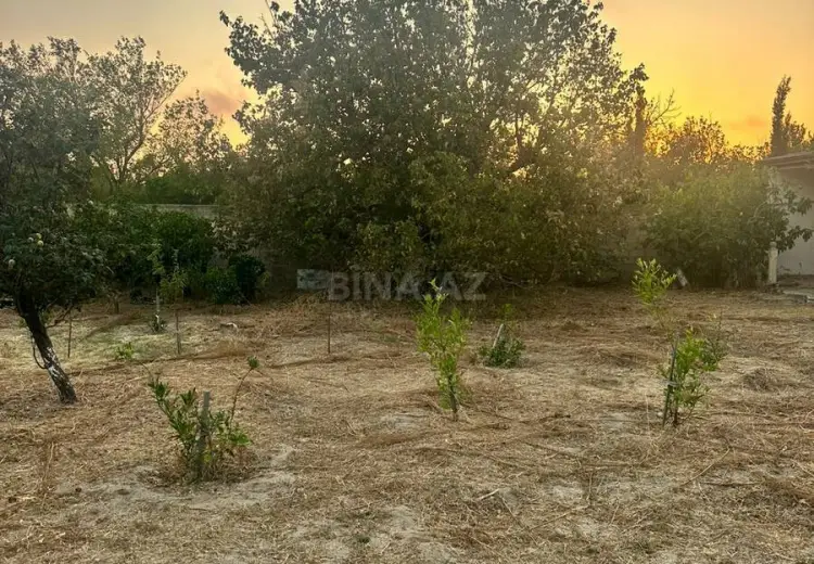 4 sot Torpaq Satılır, Novxanı, Abşeron
