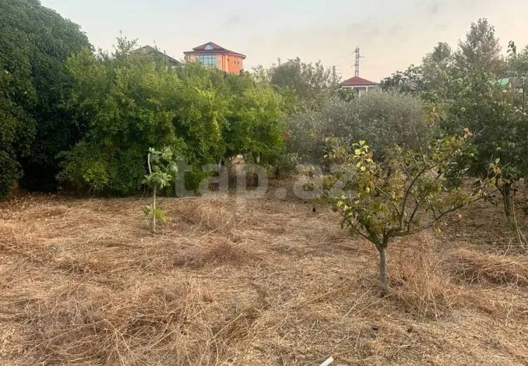 0 m² Obyekt / Ofis , Novxanı, Abşeron