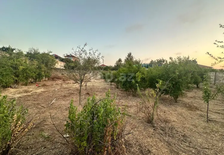 0 m² Obyekt / Ofis , Novxanı, Abşeron