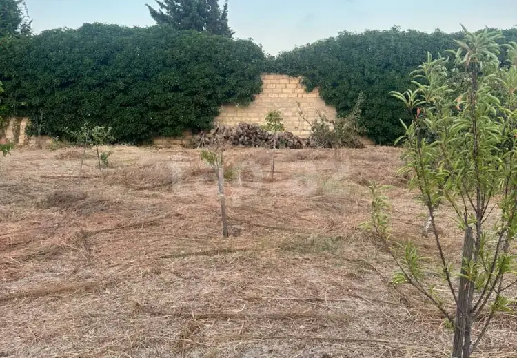 0 m² Obyekt / Ofis , Novxanı, Abşeron