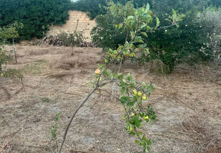 0 m² Obyekt / Ofis , Novxanı, Abşeron