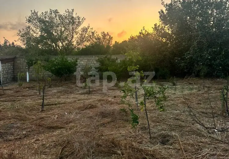 0 m² Obyekt / Ofis , Novxanı, Abşeron