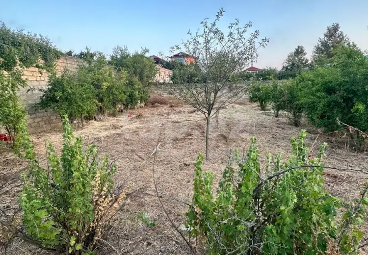 0 m² Obyekt / Ofis , Novxanı, Abşeron