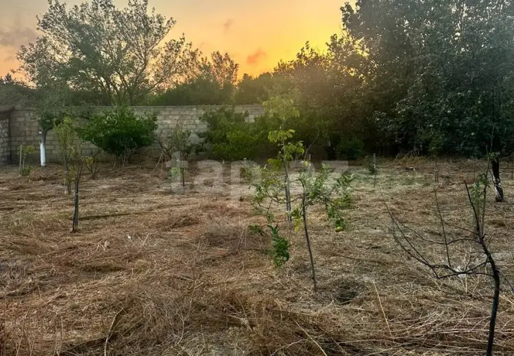 0 m² Obyekt / Ofis , Novxanı, Abşeron