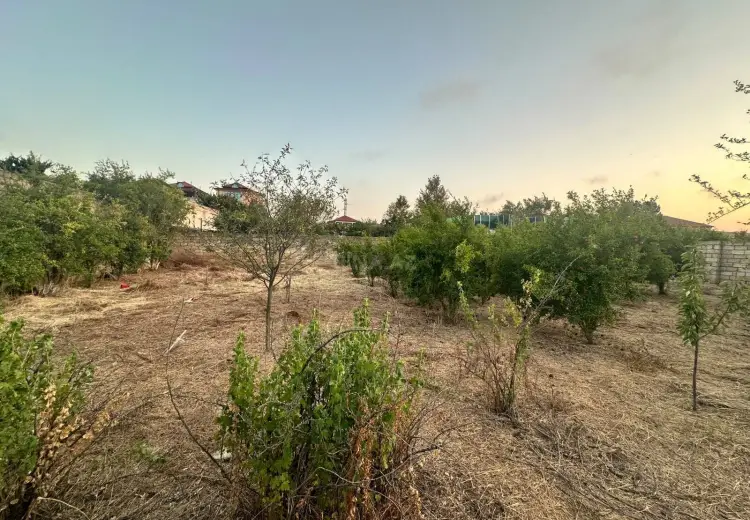 6 sot Torpaq Satılır, Novxanı, Abşeron