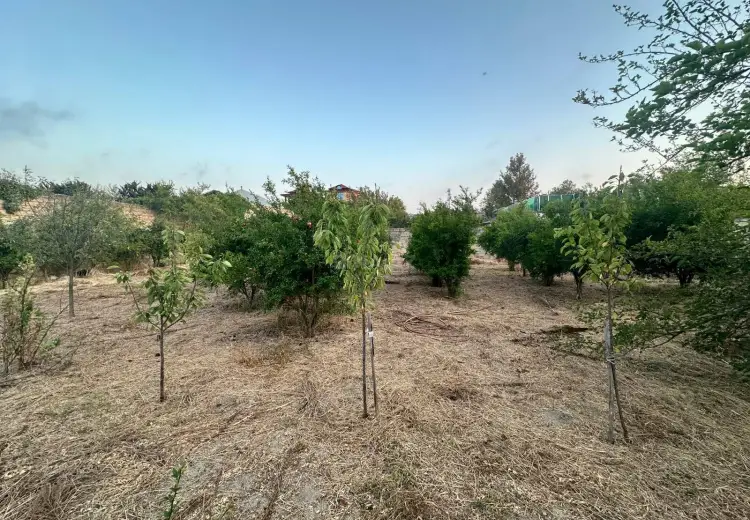 6 sot Torpaq Satılır, Novxanı, Abşeron