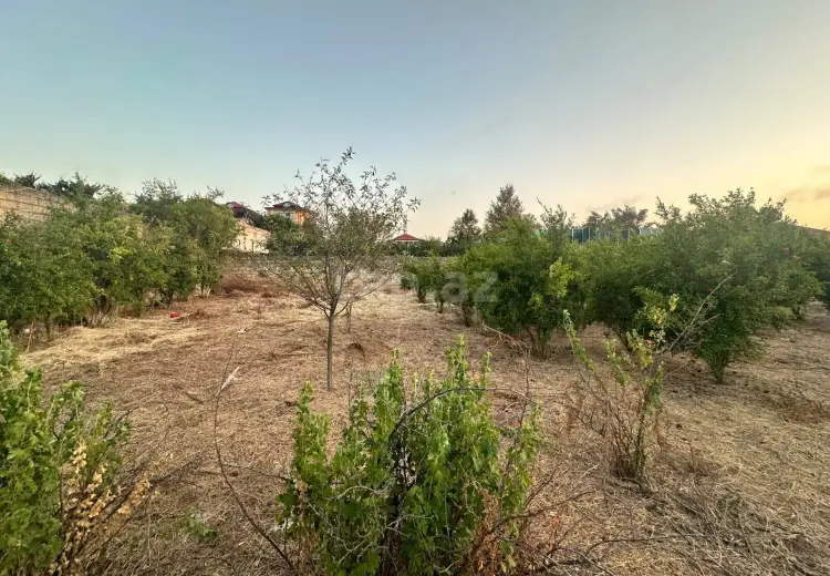 0 m² Obyekt / Ofis , Novxanı, Abşeron