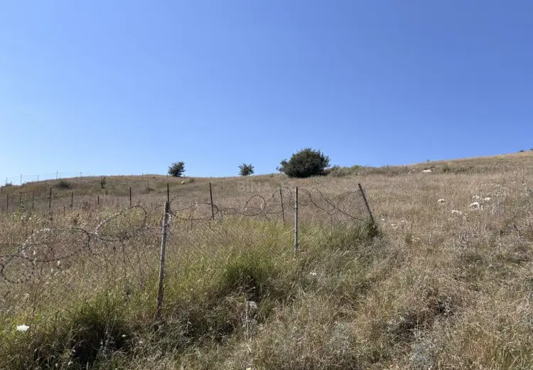 12 sot Torpaq Satılır, Şamaxı