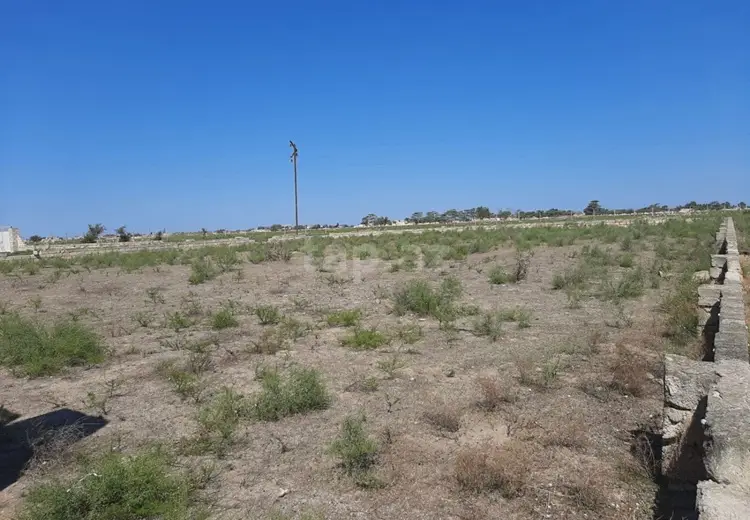 0 m² Obyekt / Ofis , Zirə, Xəzər, Bakı