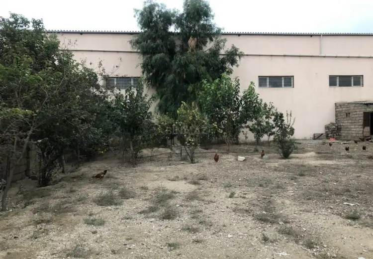 10 sot Torpaq Satılır, Abşeron