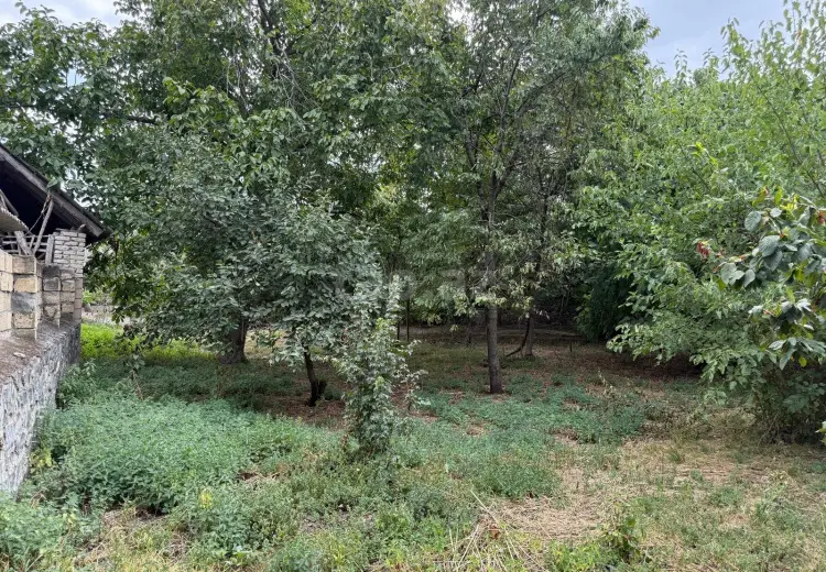 0 m² Obyekt / Ofis , Şəki