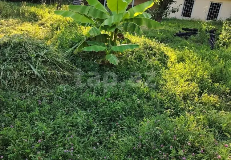 8 otaqlı mənzil , Bakı