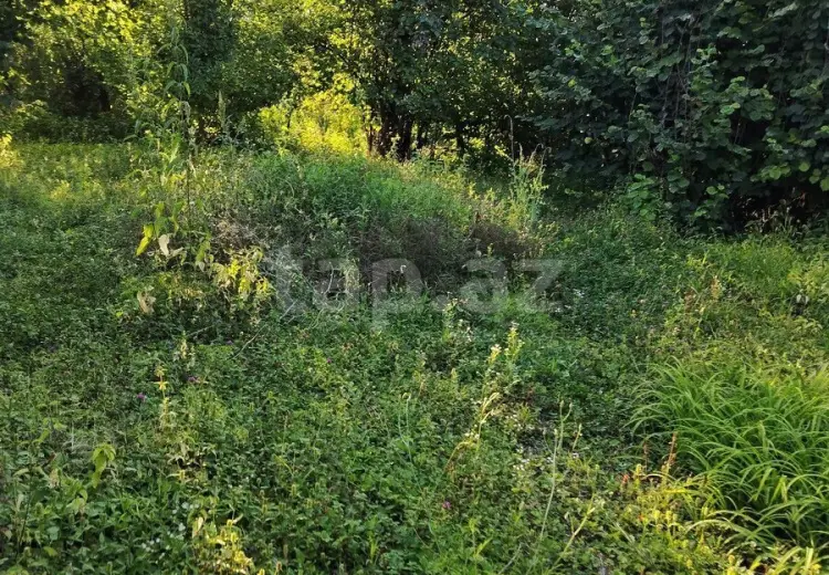 8 otaqlı mənzil , Bakı