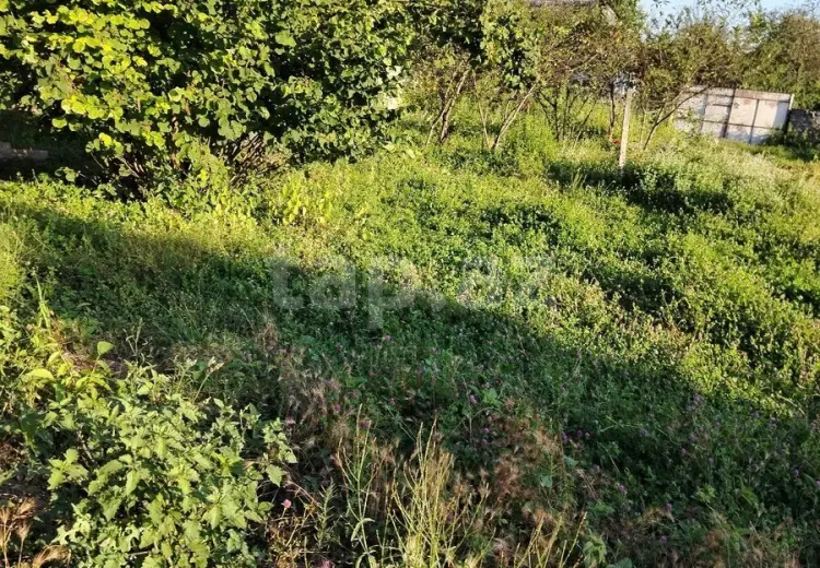 8 otaqlı mənzil , Bakı