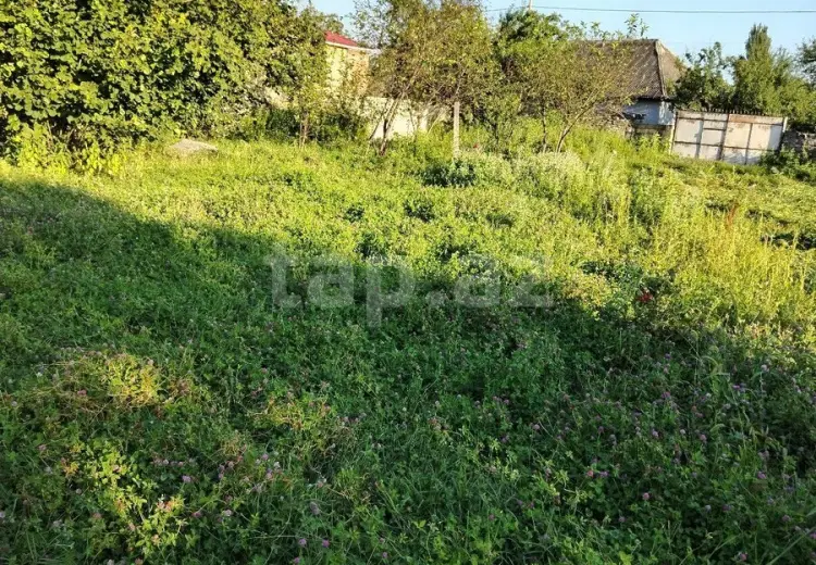8 otaqlı mənzil , Bakı