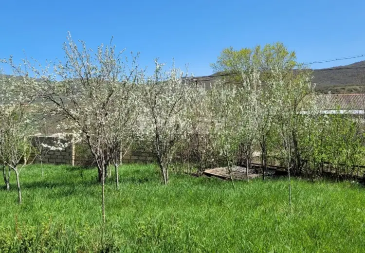 3 otaqlı mənzil , Xızı