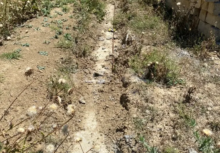 0 m² Obyekt / Ofis , Saray, Abşeron