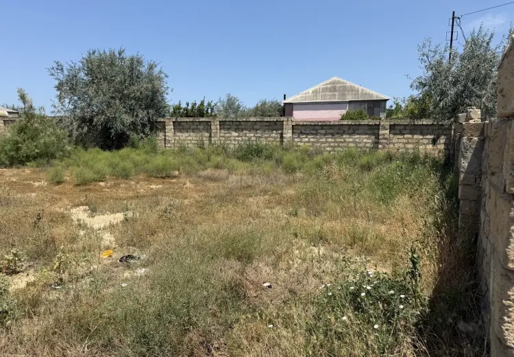6 sot Torpaq Satılır, Saray, Abşeron