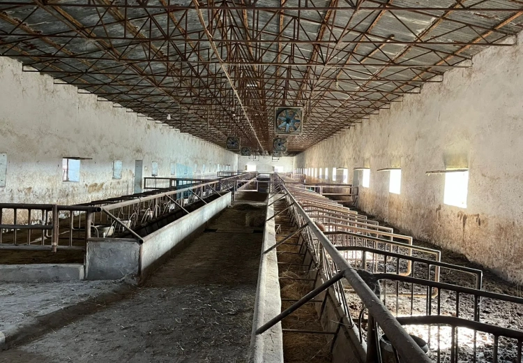 0 sot Torpaq Satılır, Şirvan