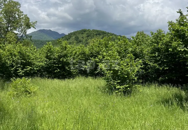 0 m² Obyekt / Ofis , Qəbələ