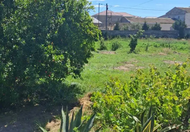 16.7 sot Torpaq Satılır, Şağan, Xəzər, Bakı