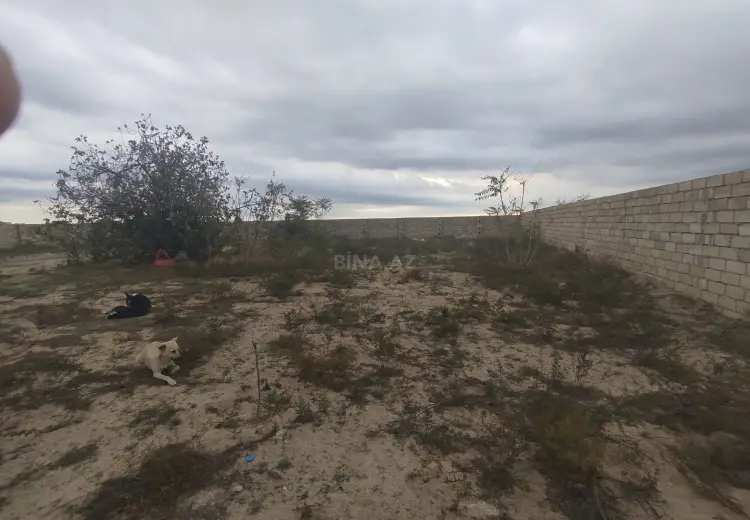 6 sot Torpaq Satılır, Nardaran qəs., Sabunçu, Bakı