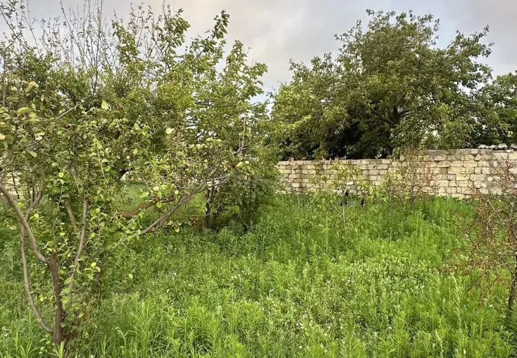 3 sot Torpaq Satılır, Novxanı, Abşeron