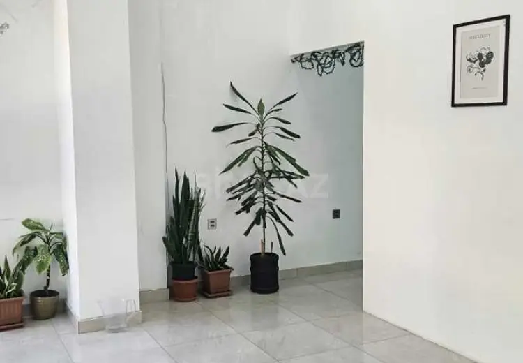 50 m² Obyekt / Ofis Kirayə (aylıq), Nərimanov, Bakı