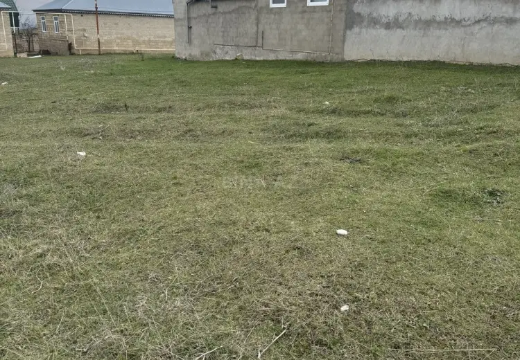 4 sot Torpaq Satılır, Şamaxı