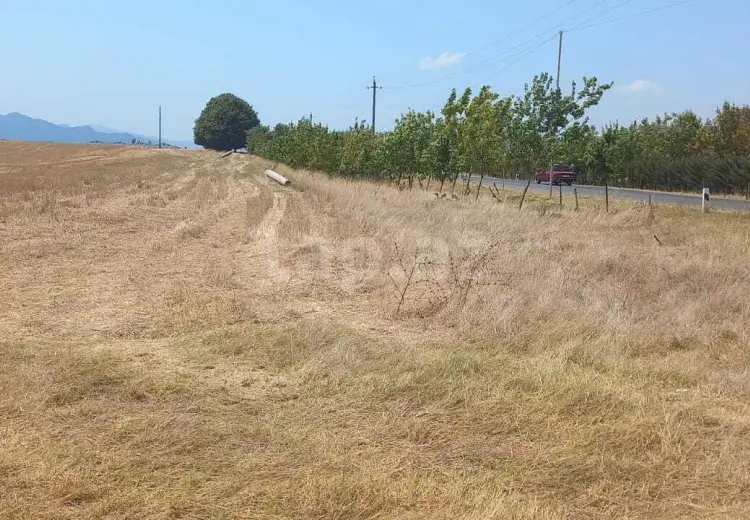 0 m² Obyekt / Ofis , Masallı